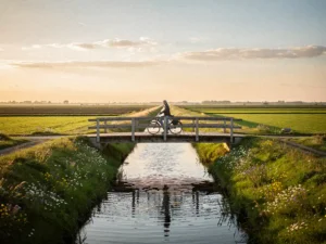 Fietser rustend op houten brug over kanaal in Eiland van Schalkwijk polder, gouden uur licht over groene weilanden met wilde bloemen.