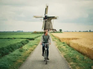 Fietser op rustig polderpad in Nederland, met historische windmolen en gouden korenvelden onder bewolkte lucht.
