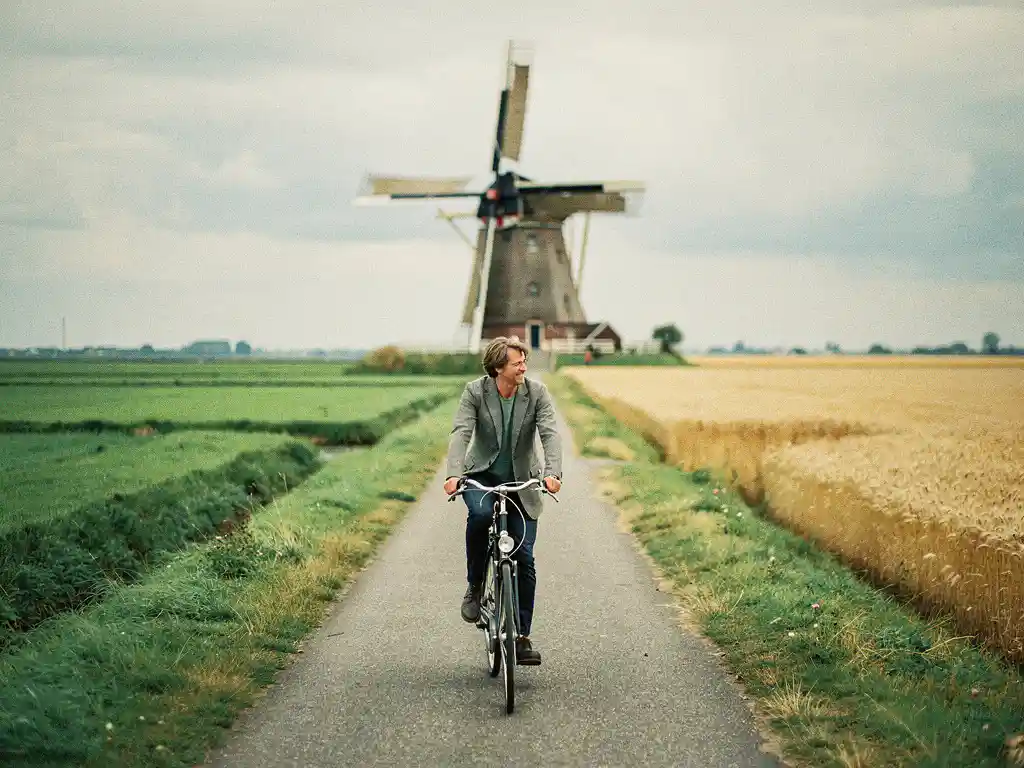 Fietser op rustig polderpad in Nederland, met historische windmolen en gouden korenvelden onder bewolkte lucht.