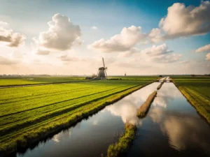 Hollands polderlandschap met groene weilanden, smalle sloten en een traditionele molen in warm middaglicht.