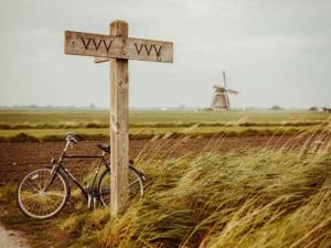 Houten VVV-informatiebord in een Nederlands polderlandschap met rietkraag, windmolen op de achtergrond en aangelehnd fiets.